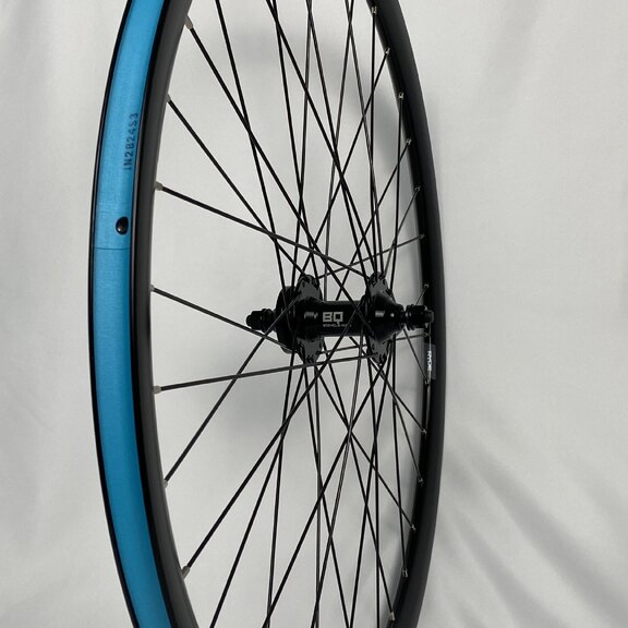 Vorderrad / 622X19C / Rigida - Ryde / Dutch 19 / Schwarz / BQ / BQ-FH30519 / / 100 MM / Scheibe (6-Loch) / E-Bike 