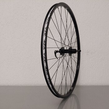 Rear wheel / 622X21C / Rigida - Ryde / Andra 321 / Black / BQ / BQ-RH30027 / Micro Spline 12S / 141 MM / Disc (6 bolt) / Trek X-Caliber